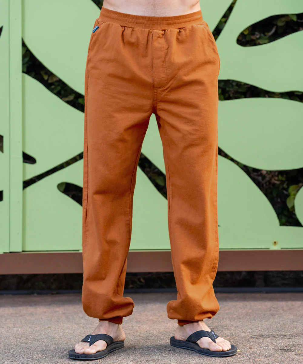 Desert Clay Canton Pants - Image 2