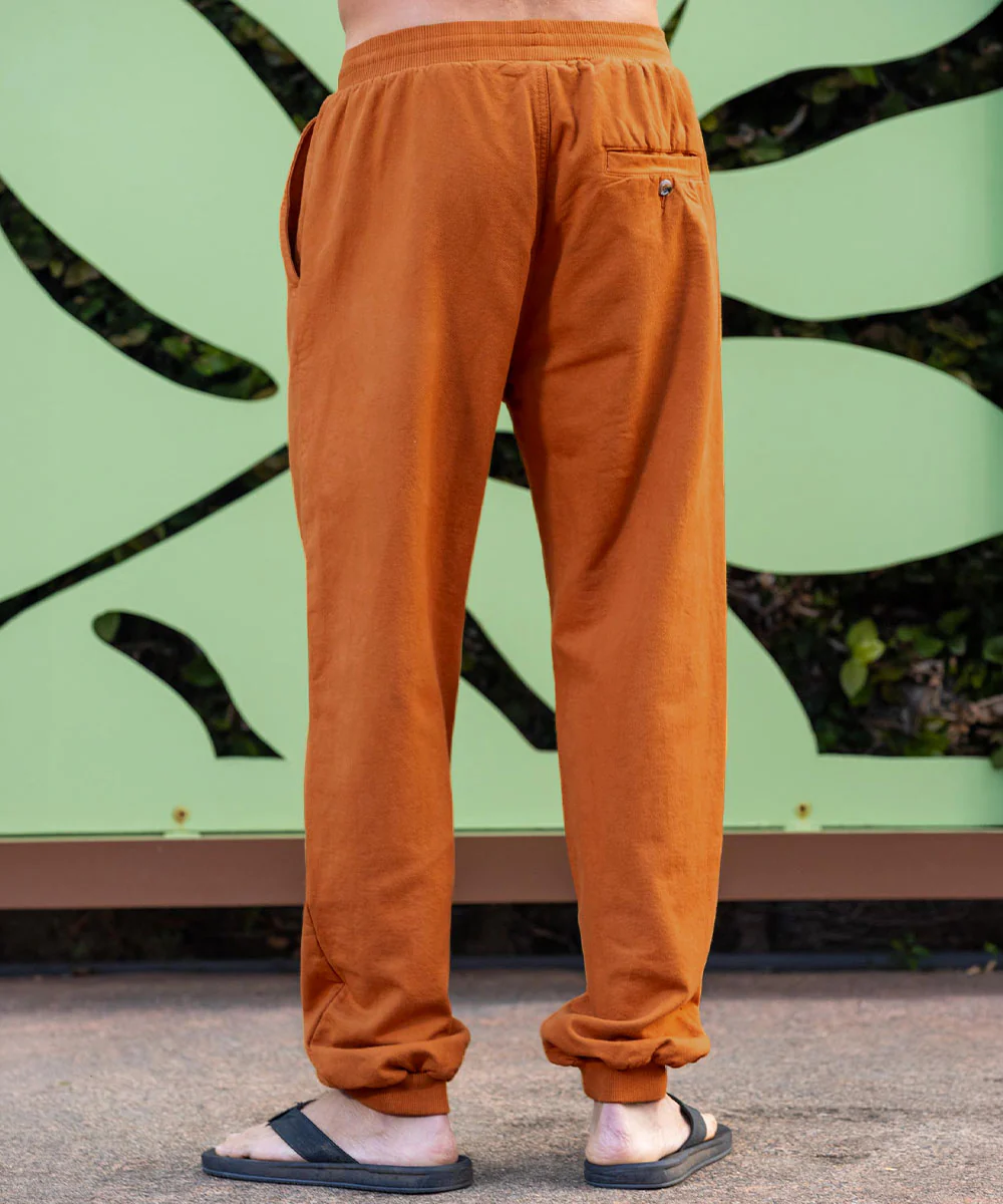 Desert Clay Canton Pants - Image 3