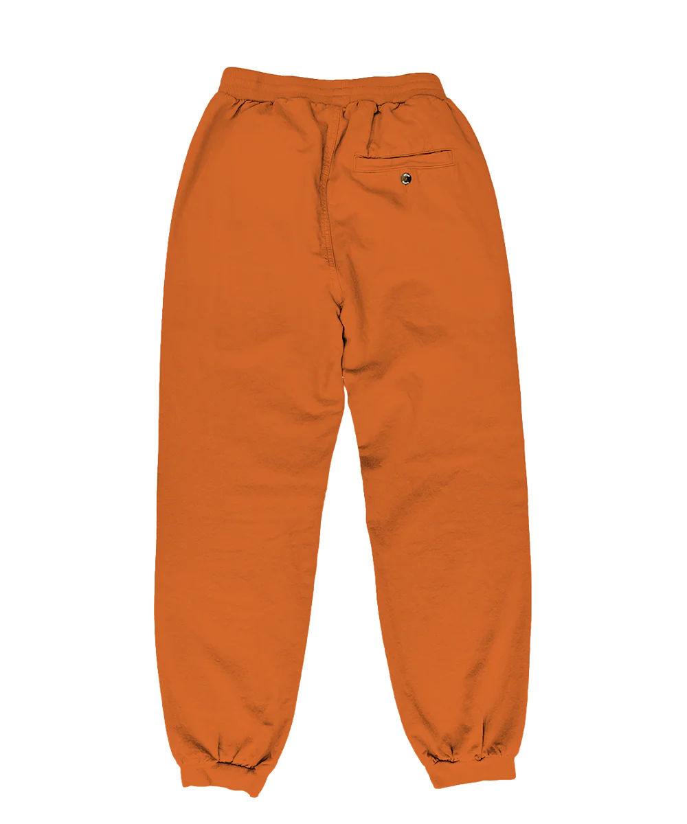 Desert Clay Canton Pants - Image 4
